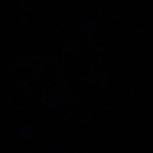 Meet your Posher, Bailey